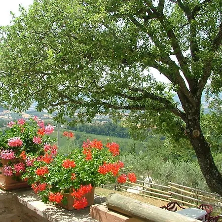 Casa Vacanze Ripa Alta Εξοχικό σπίτι *