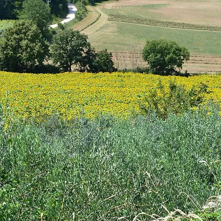 Lantställe Casa Vacanze Ripa Alta Collazzone