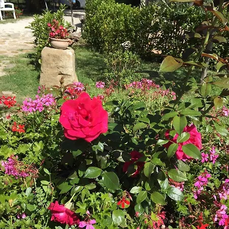 Casa Vacanze Ripa Alta Collazzone