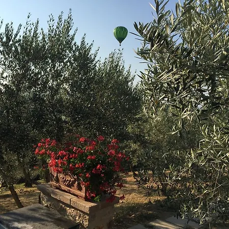 Εξοχικό σπίτι Casa Vacanze Ripa Alta Collazzone