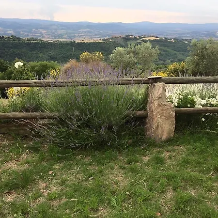 Casa Vacanze Ripa Alta